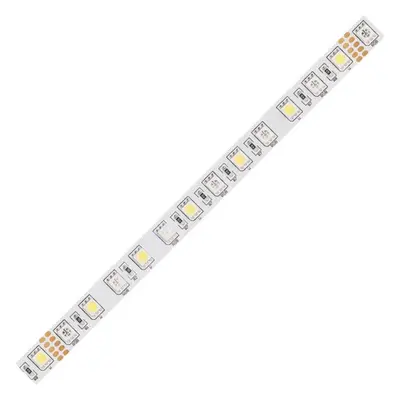 LED pásek McLED 24V RGBW CW studená bílá 12mm IP20 17,3W/m ML-128.632.60.0 (5m)