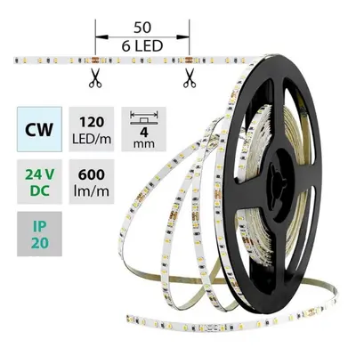 LED pásek McLED 24V studená bílá š=4mm IP20 7,2W/m 120LED/m SMD2216 ML-126.732.60.0