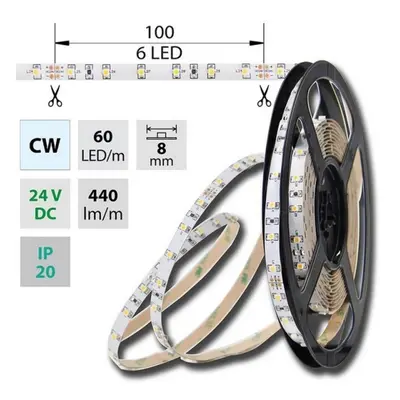 LED pásek McLED studená bílá 4,8W/m IP20 24V 8mm ML-126.206.60.2