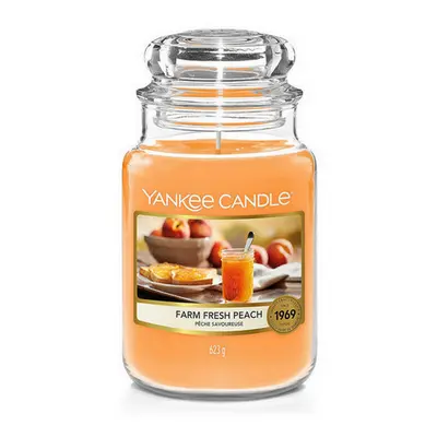 Svíčka vonná sklo Yankee candle FARM FRESH PEACH 623g (hoří 150hod) 716297