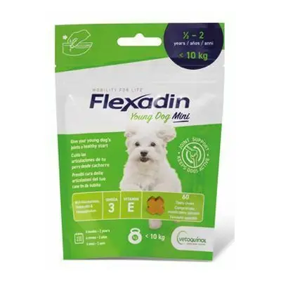 Flexadin 4Life Young Dog Mini žvýkací 60tbl Super cena