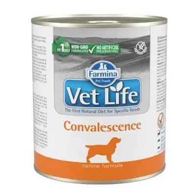 Vet Life Natural Dog konz. Convalescence 300g