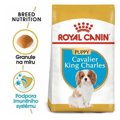 Royal Canin Breed Kavalír King Charles Junior 1,5kg