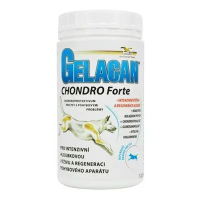 Gelacan Chondro Forte 500g