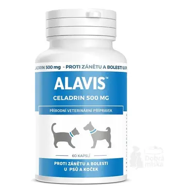 Alavis Celadrin pro psy a kočky 60cps 500mg