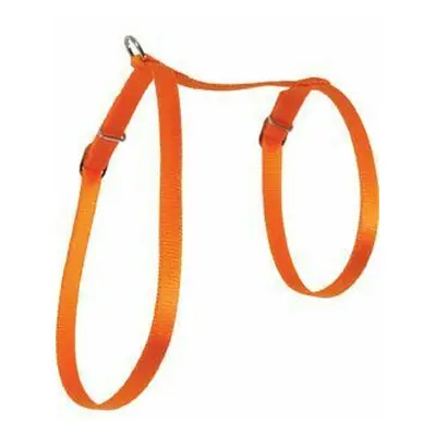 Postroj kočka nylon 10mm oranžový Zolux