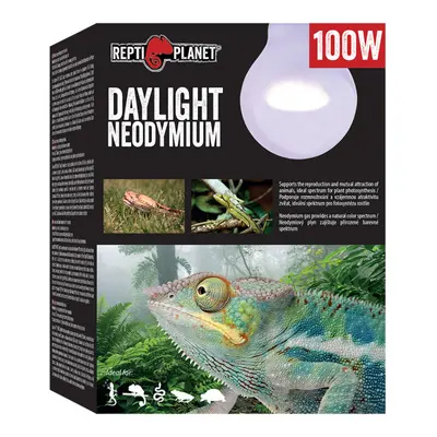 Repti Planet žárovka Daylight Neodymium 100W