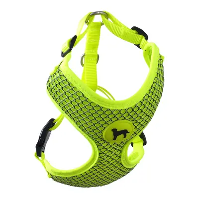 Postroj Active Dog Mellow M limetka 1,5x40-55cm