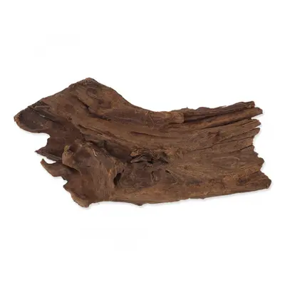 Repti Planet kořen DriftWood Bulk S 24-29cm