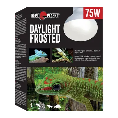 Repti Planet žárovka Daylight Frosted 75W