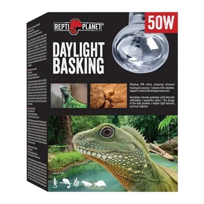 Repti Planet žárovka Daylight Basking Spot 50W