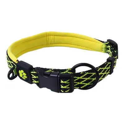 Obojek Active Dog Mystic S limetka 1,5x39-44cm