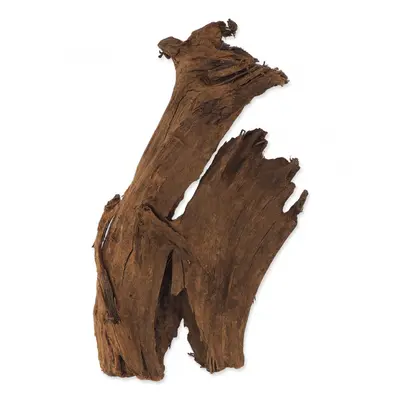 Repti Planet kořen DriftWood Bulk M 29-36cm