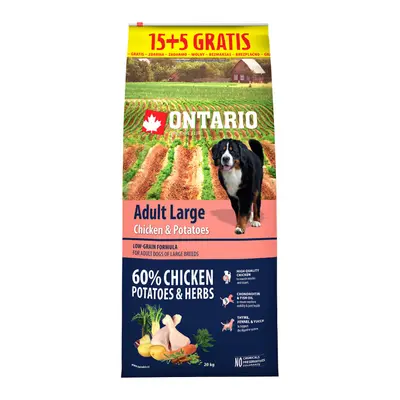 Ontario Adult Large Chicken & Potatoes 15+5kg zdarma