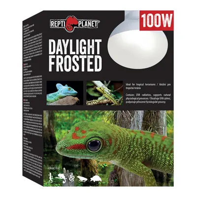 Repti Planet žárovka Daylight Frosted 100W