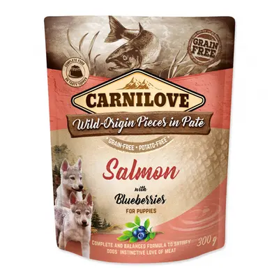 Kapsička Carnilove Dog Pouch Paté Puppy losos s borůvkami 300g