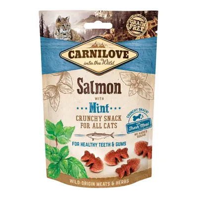 Carnilove Cat Crunchy Snack Salmon with Mint with fresh meat 50g