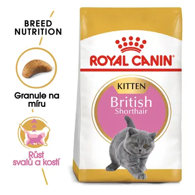 Royal Canon Cat British Shorthair Kitten - 2kg