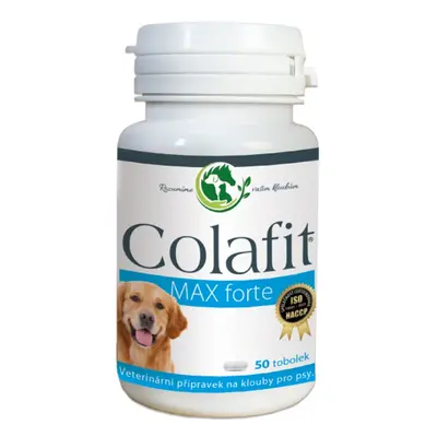 Colafit Max Forte - 100 tablet