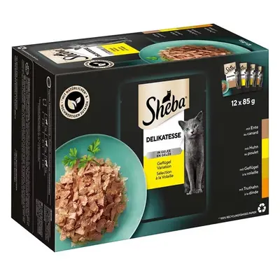 Sheba Delikatesse Drůbeží Výběr v Želé - 12x85g