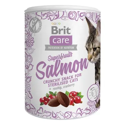 Brit Care Snack Superfruits 100g - Salmon