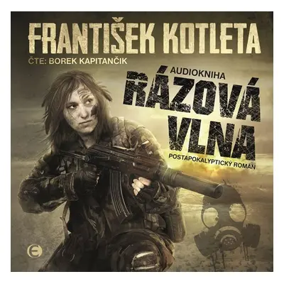 Rázová vlna - CDmp3 (Čte Borek Kapitančík) - František Kotleta