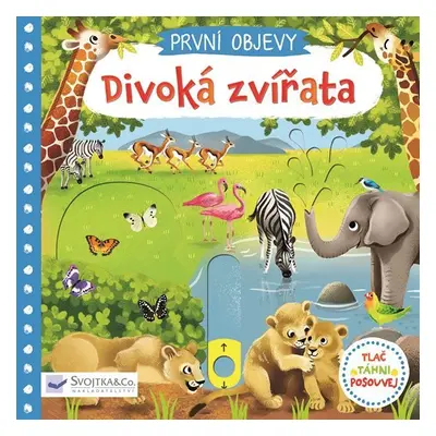 První objevy - Divoká zvířata - Jenny Wren