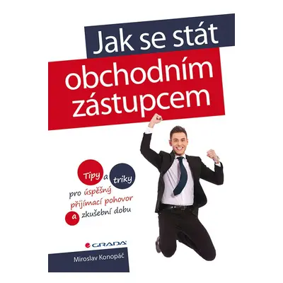 Jak se stát obchodním zástupcem - Tipy a triky pro úspěšný přijímací pohovor a zkušební dobu - M