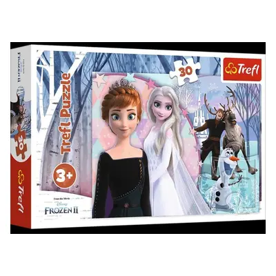 Trefl Puzzle Frozen 2 / 30 dílků