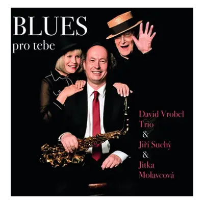 BLUES pro tebe - CD - Jitka Molavcová