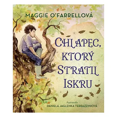 Chlapec, ktorý stratil iskru - Maggie O´Farrell