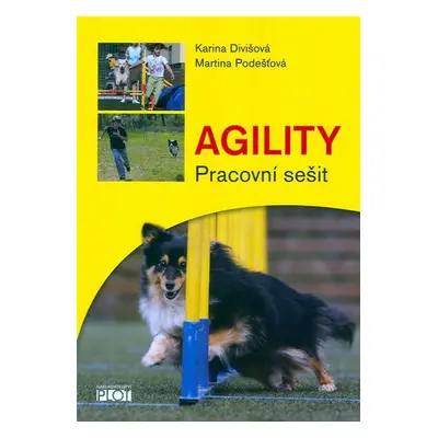 Agility - Pracovní sešit - Karina Divišová