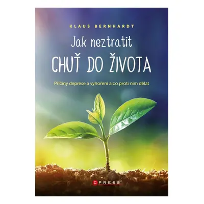 Jak neztratit chuť do života - Příčiny deprese a vyhoření a co proti nim dělat - Klaus Bernhardt