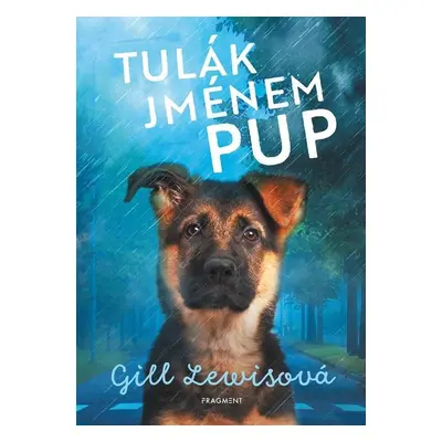 Tulák jménem Pup - Gill Lewis