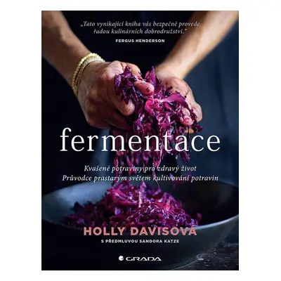 Fermentace - Kvašené potraviny pro zdravý život - Holly Davisová