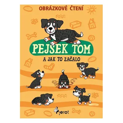 Pejsek Tom a jak to začalo - Obrázkové čtení, 1. vydání - Petr Šulc