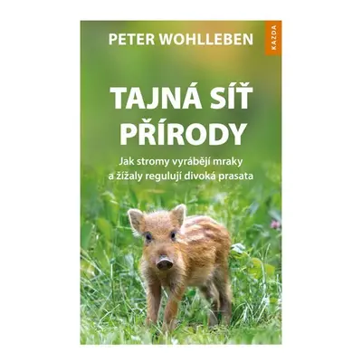 Tajná síť přírody - Jak stromy vyrábějí mraky a žížaly regulují divoká prasata - Peter Wohlleben