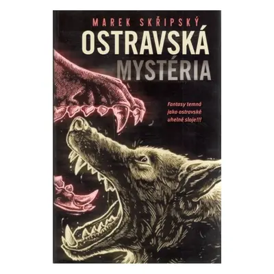 Ostravská mystéria - Marek Skřipský