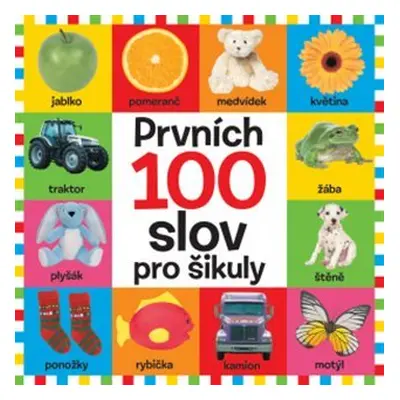 Prvních 100 slov pro šikuly