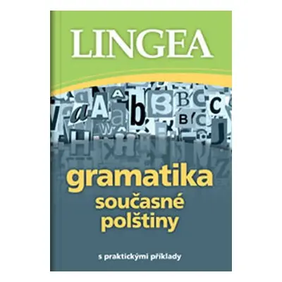 Gramatika současné polštiny s praktickými příklady - Kolektiv autorů