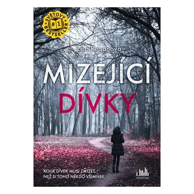 Mizející dívky - Lisa Regan