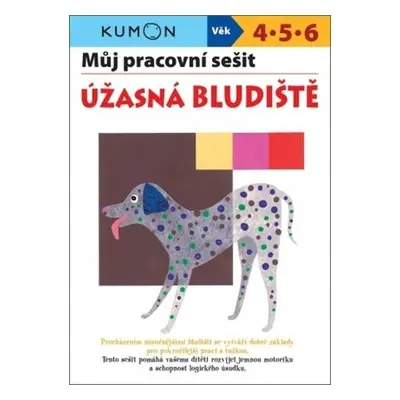 Úžasná bludiště - Můj pracovní sešit - Toshihiki Karakido