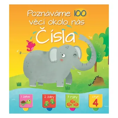 Čísla - Poznáváme 100 věcí okolo nás - Kolektiv autorú