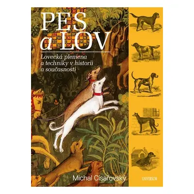 Pes a lov - Michal Císařovský