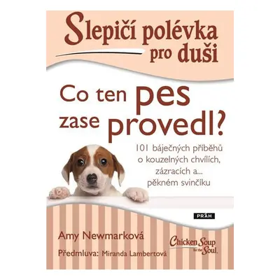 Slepičí polévka pro duši - Co ten pes zase provedl? - Amy Newmark