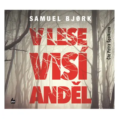 V lese visí anděl (audiokniha) - Samuel Bjork