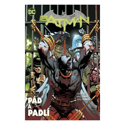 Batman - Pád a padlí - Tom King