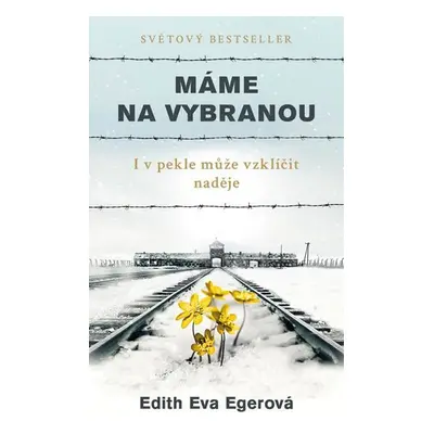 Máme na vybranou - I v pekle může vzklíčit naděje - Edith Eva Egerová