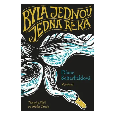 Byla jednou jedna řeka - Diane Setterfield