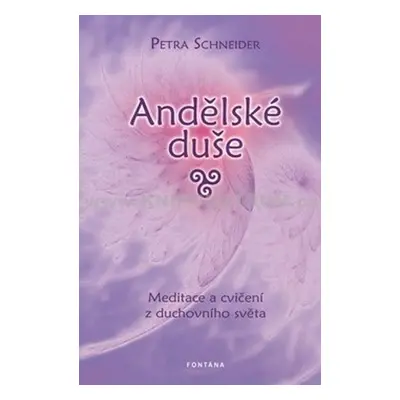 Andělské duše Meditace a cvičení z ducho - Petra Schneider